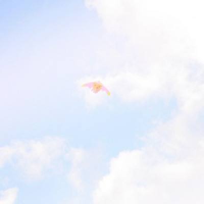 正版皮肤大亨软件下载