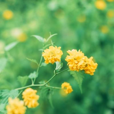 365手游官方版下载